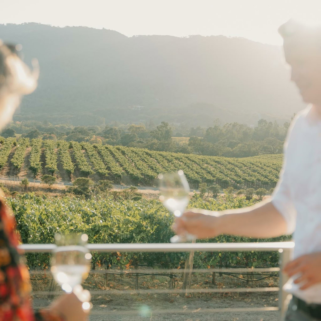 Couple drinking wine and talking with vineyard background