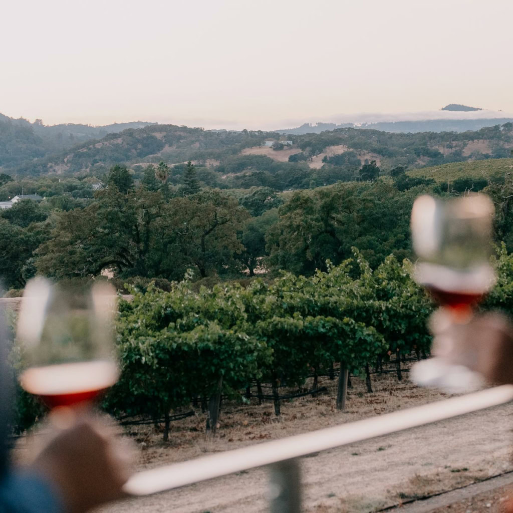 Vineyard hills and fog in background with wine glasses in foreground